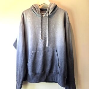 Champion Men's Ombre Hoodie Sweater C Logo Large